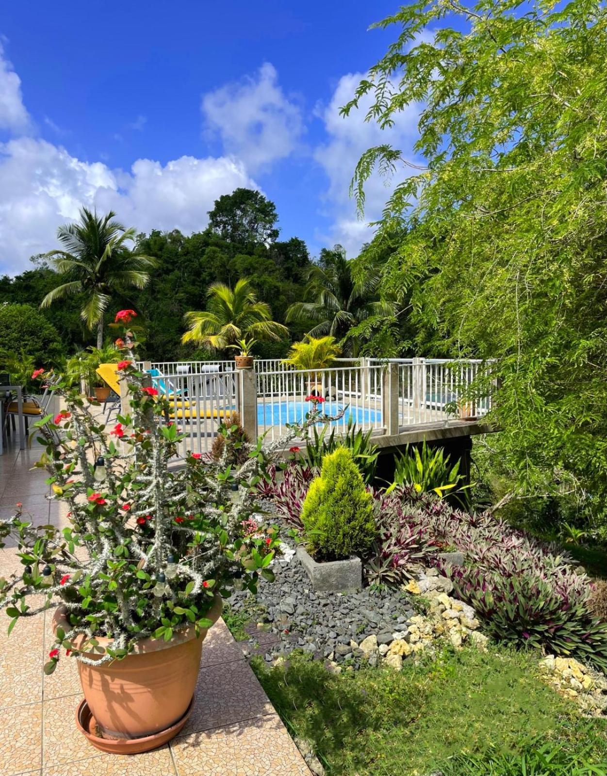 La Villa Ixora, Magnifique Villa Avec Piscine Les Abymes Eksteriør billede